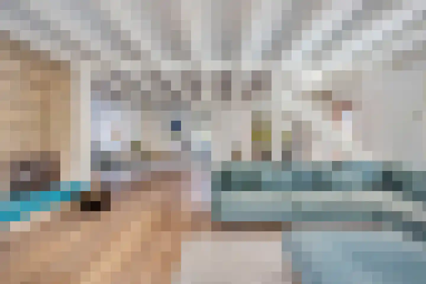Achterbos 50 R 5 Vinkeveen thumbnail 10