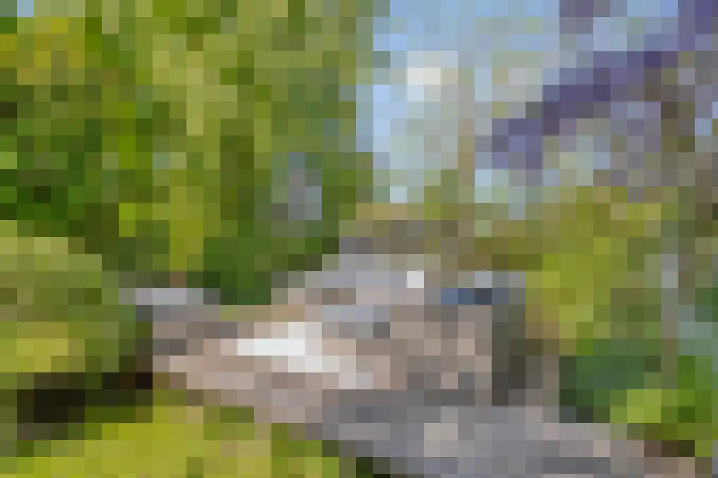 Achterbos 50 R 5 Vinkeveen thumbnail 30