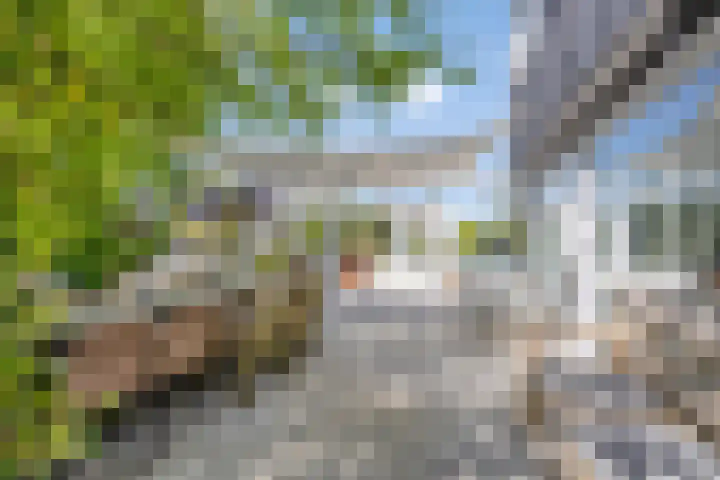 Achterbos 50 R 5 Vinkeveen thumbnail 31
