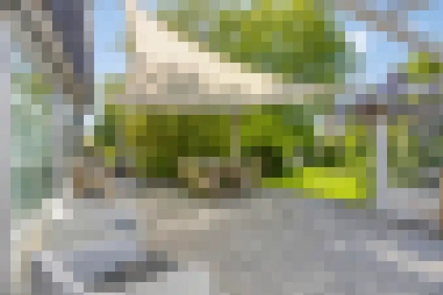 Achterbos 50 R 5 Vinkeveen thumbnail 38
