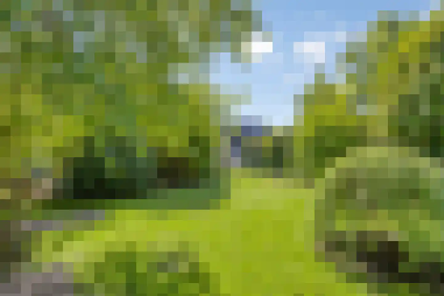 Achterbos 50 R 5 Vinkeveen thumbnail 43