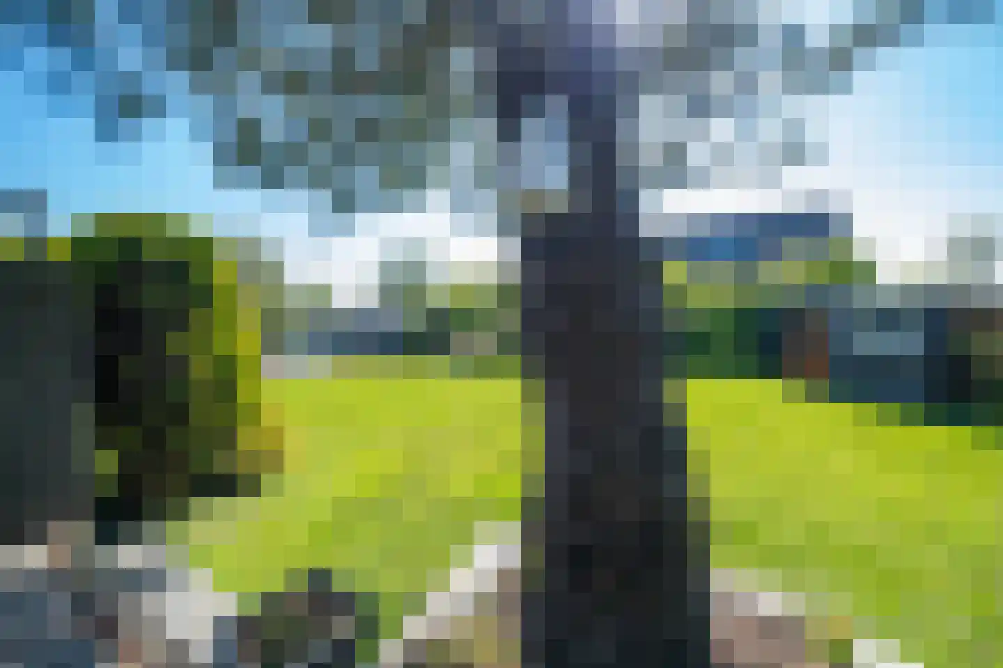 Achterbos 52 R 10 Vinkeveen thumbnail 7
