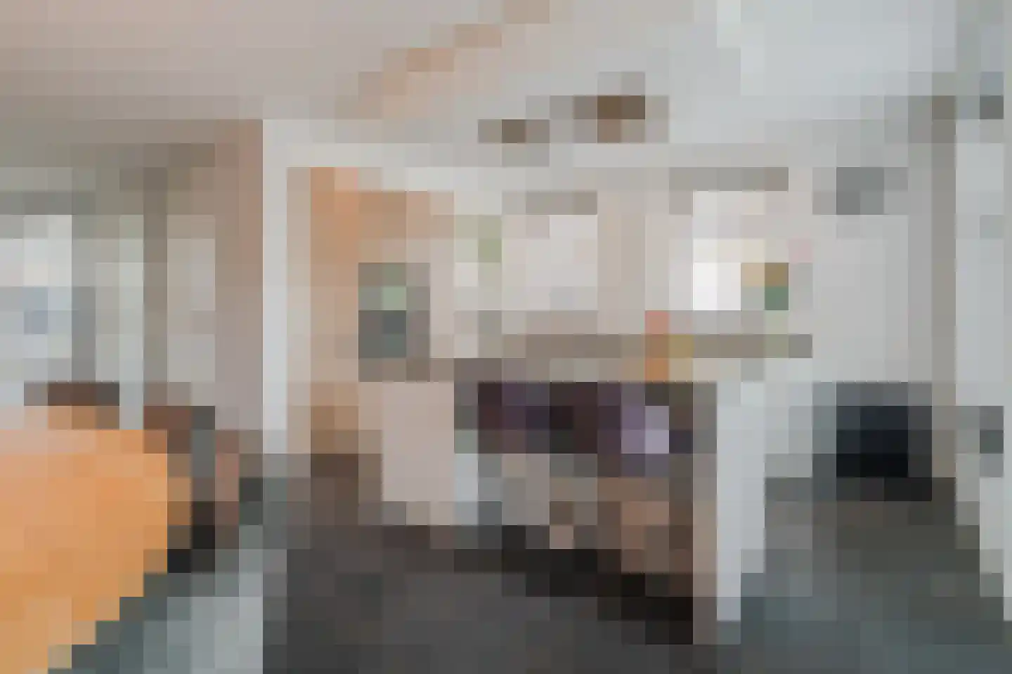 Achterbos 8 Vinkeveen thumbnail 20