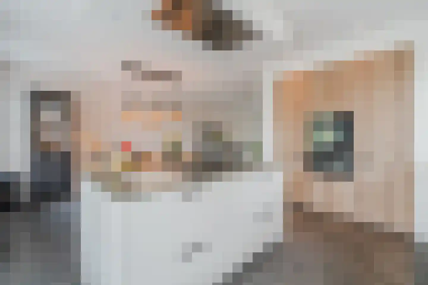 Achterbos 8 Vinkeveen thumbnail 23