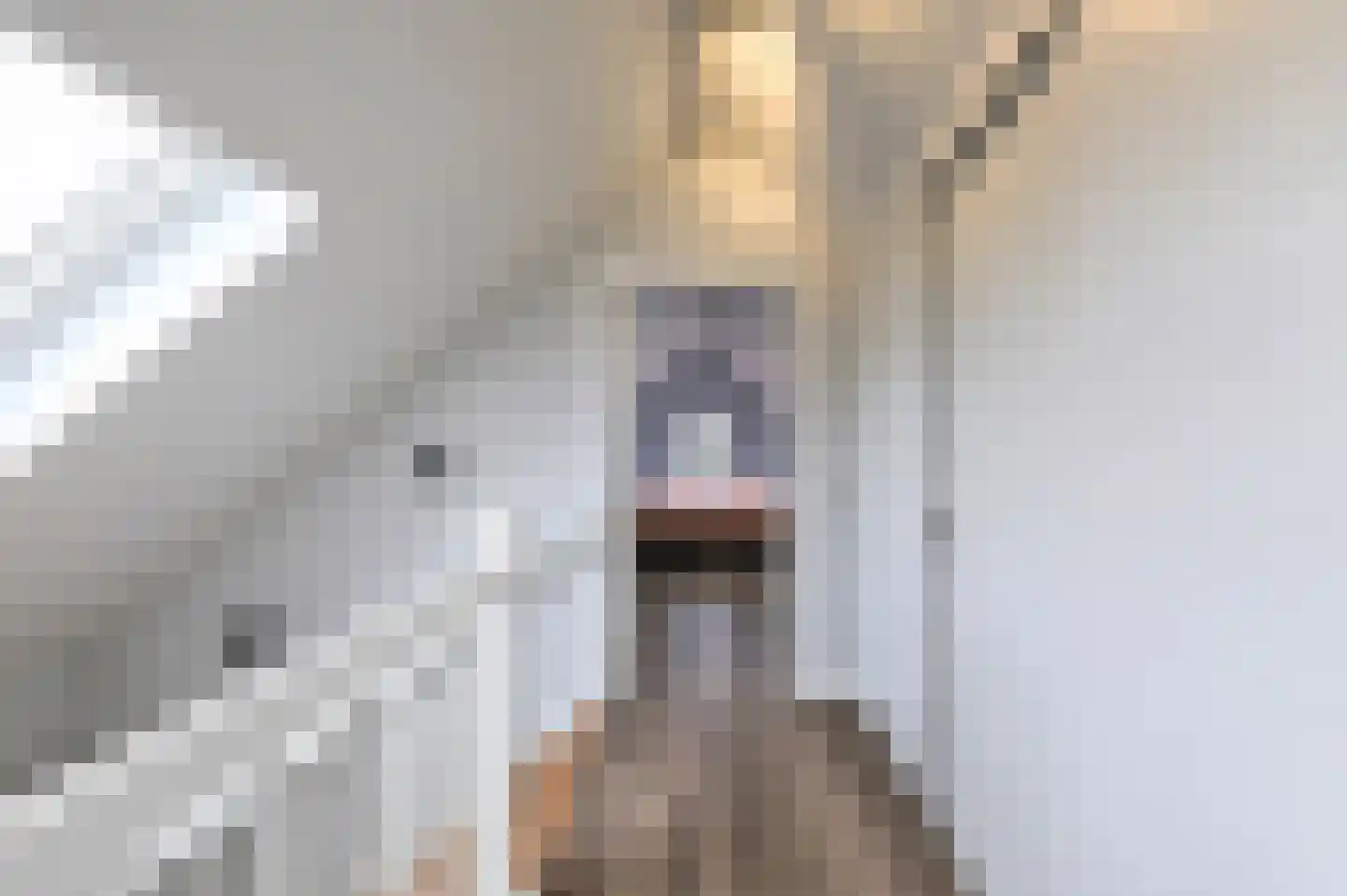 Achterbos 8 Vinkeveen thumbnail 42