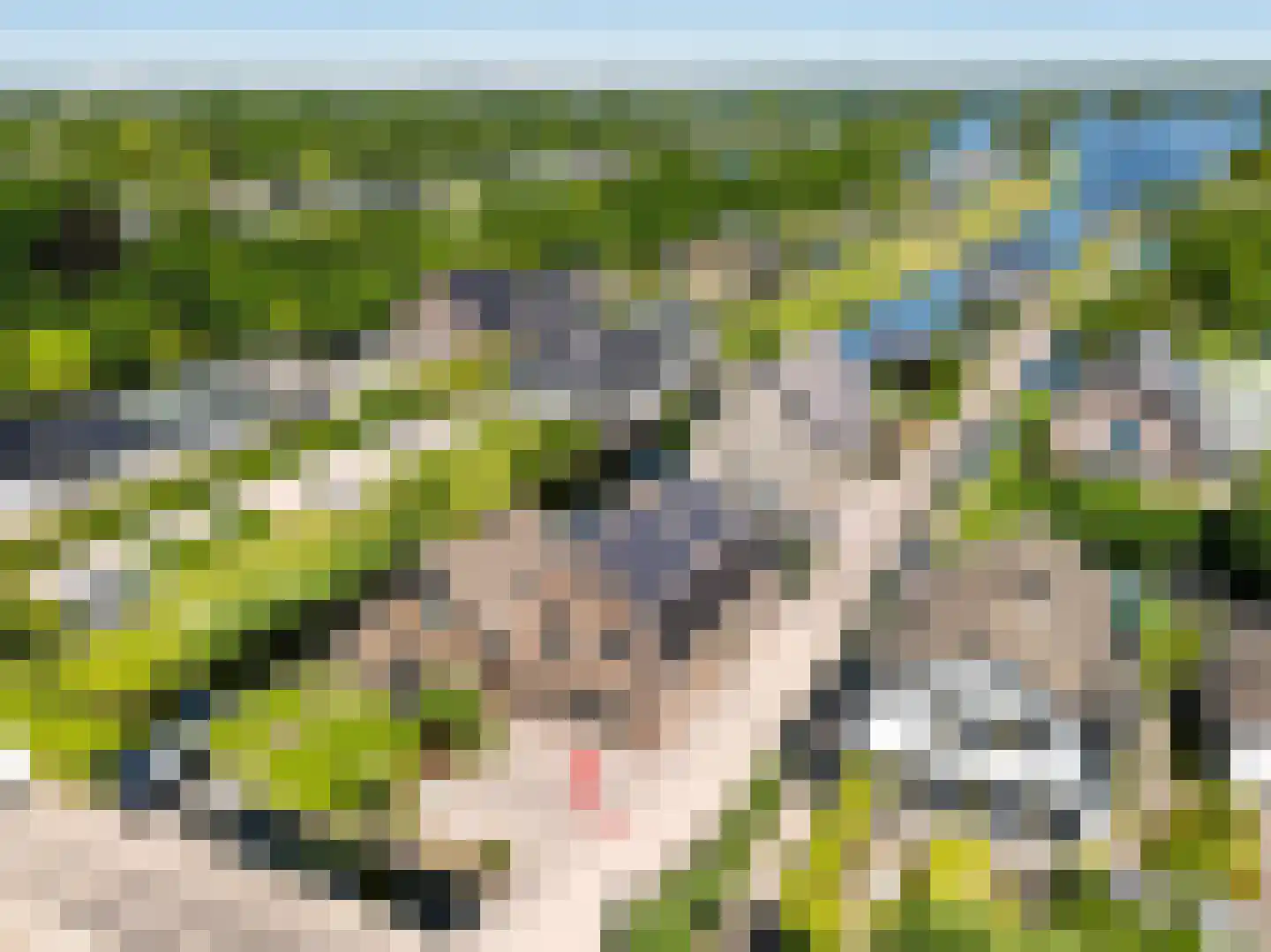 Achterbos 8 Vinkeveen thumbnail 57