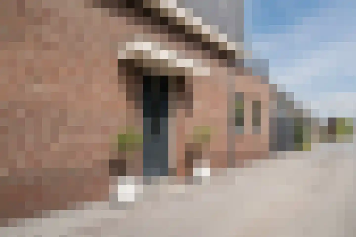 Achterbos 8 Vinkeveen thumbnail 8