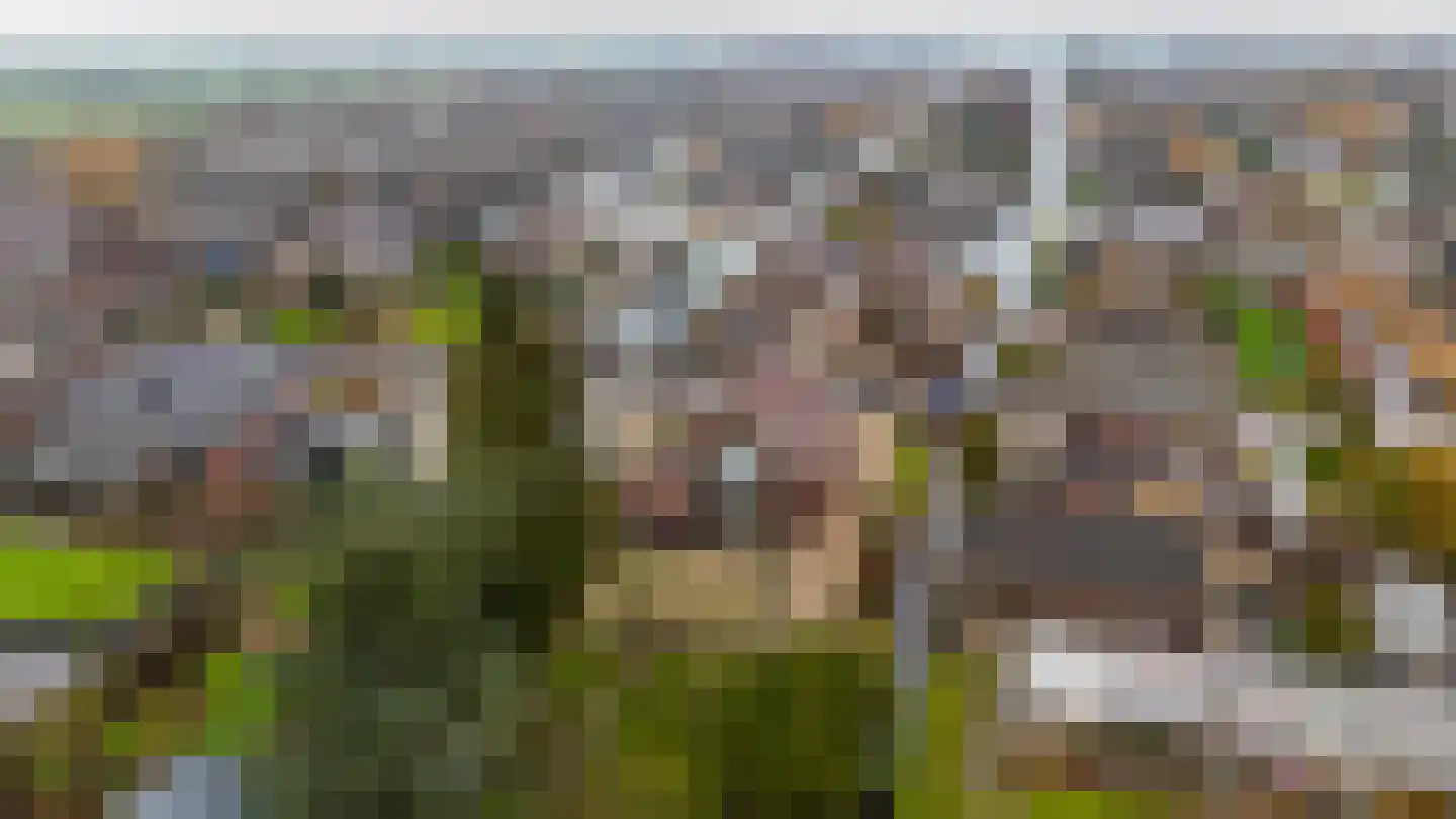 Achterbos 89 Vinkeveen thumbnail 21