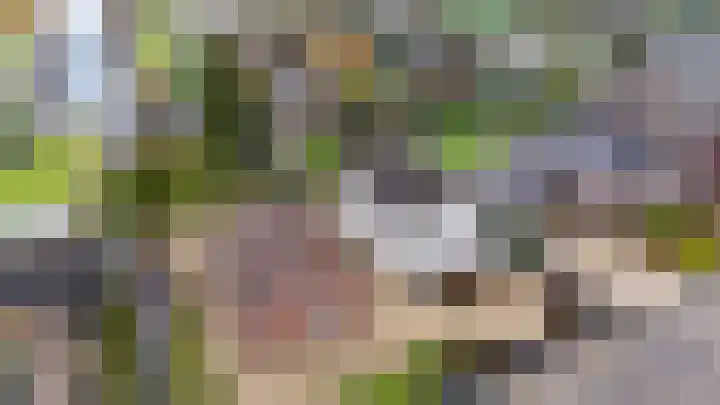 Achterbos 89 Vinkeveen thumbnail 22
