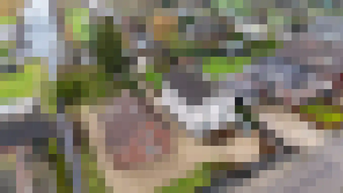 Achterbos 89 Vinkeveen thumbnail 22
