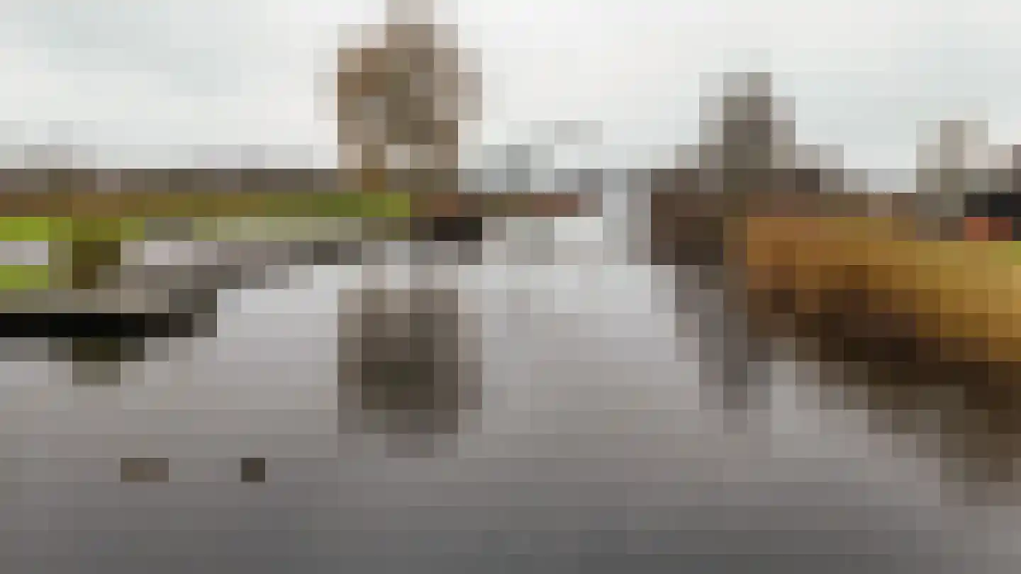Achterbos 89 Vinkeveen thumbnail 23