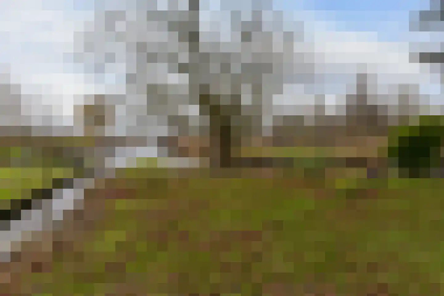 Achterbos 89 Vinkeveen thumbnail 25