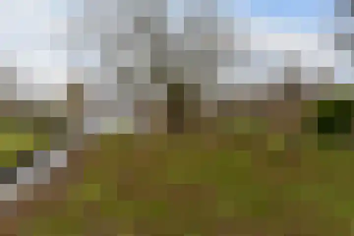 Achterbos 89 Vinkeveen thumbnail 25
