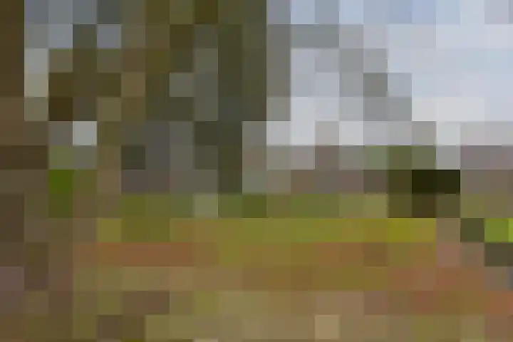 Achterbos 89 Vinkeveen thumbnail 28