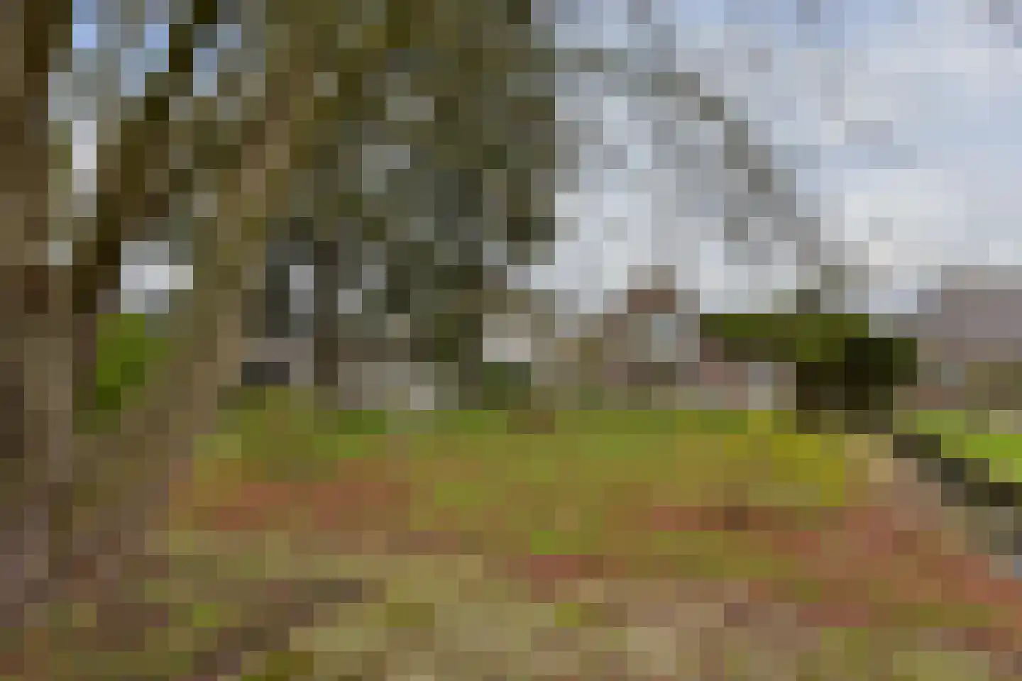 Achterbos 89 Vinkeveen thumbnail 28