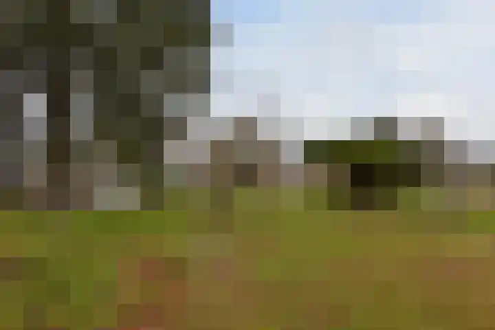 Achterbos 89 Vinkeveen thumbnail 29