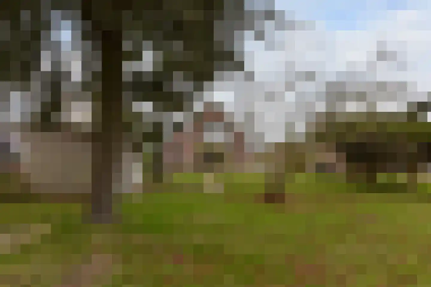 Achterbos 89 Vinkeveen thumbnail 30