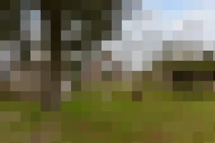 Achterbos 89 Vinkeveen thumbnail 30