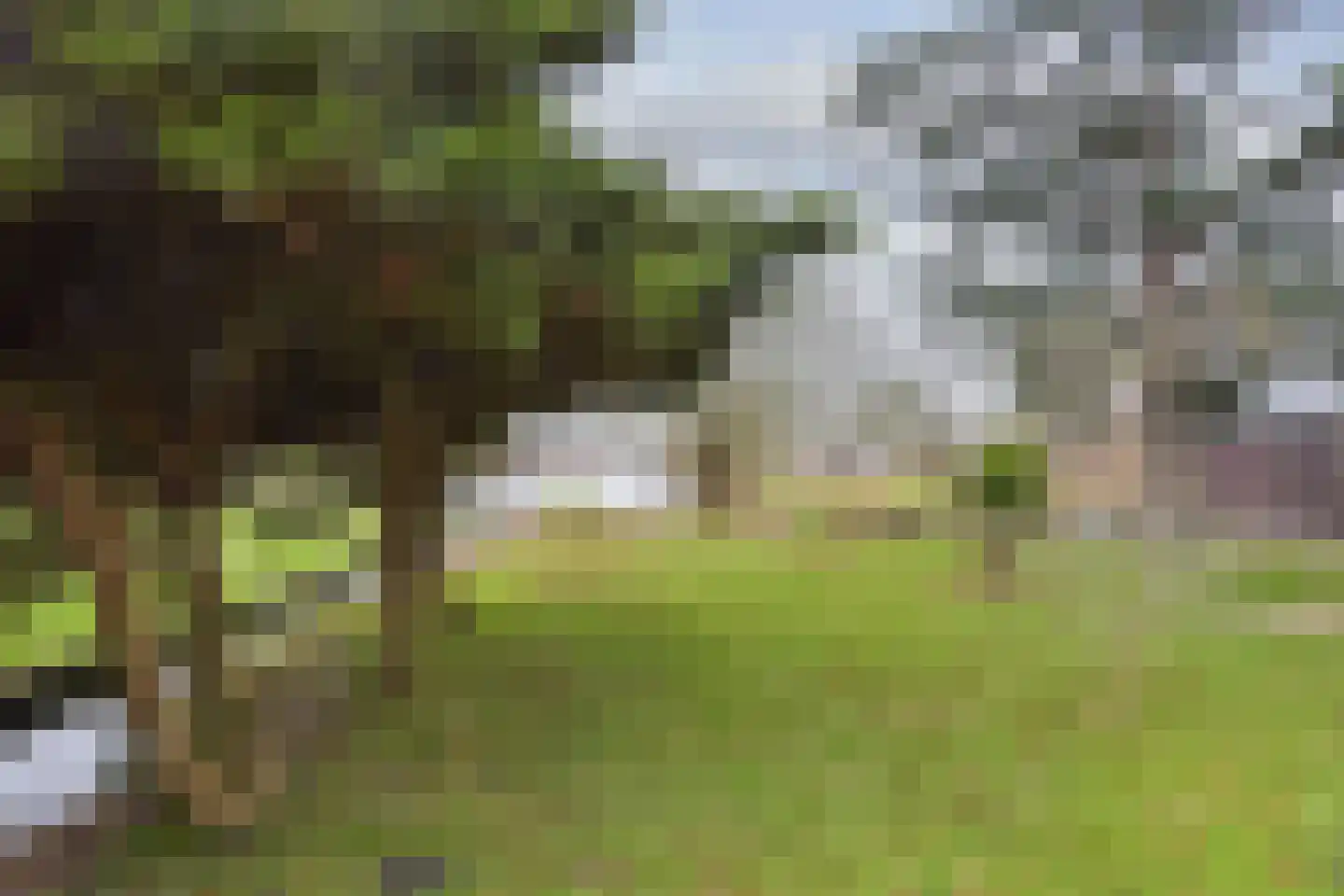 Achterbos 89 Vinkeveen thumbnail 35