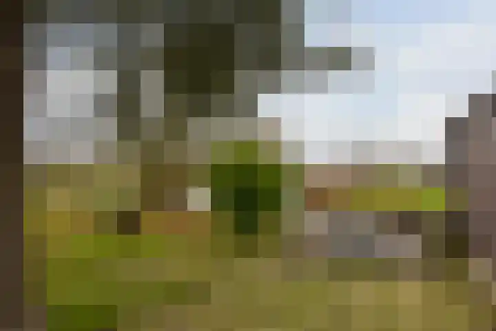 Achterbos 89 Vinkeveen thumbnail 36