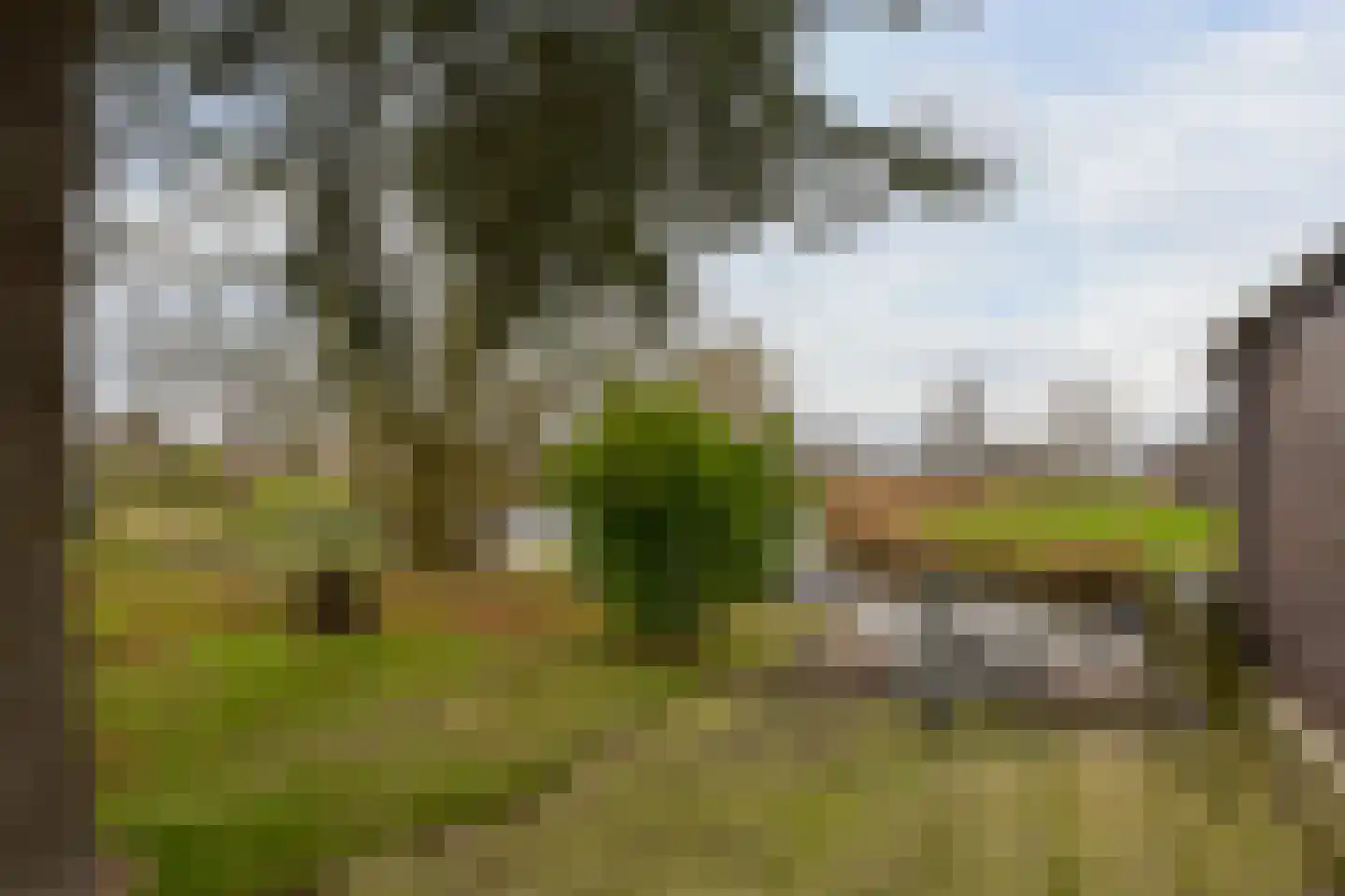 Achterbos 89 Vinkeveen thumbnail 36