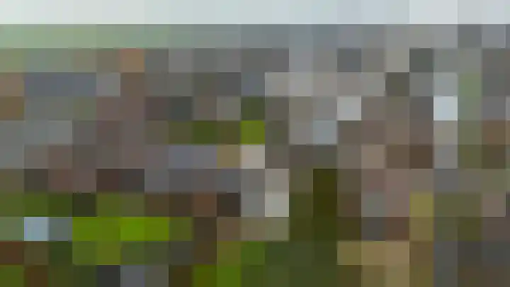 Achterbos 89 Vinkeveen thumbnail 39