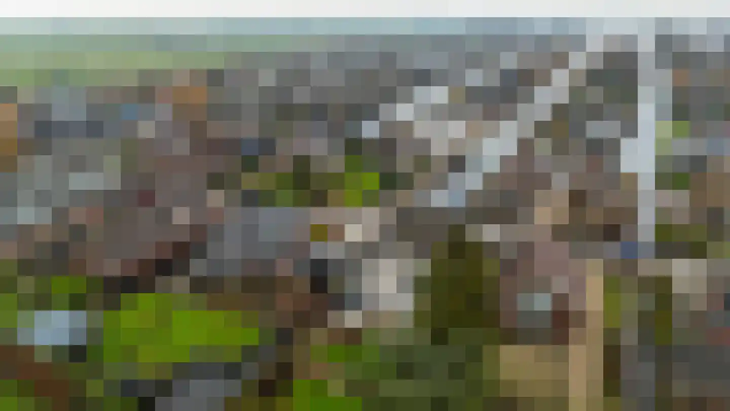 Achterbos 89 Vinkeveen thumbnail 39