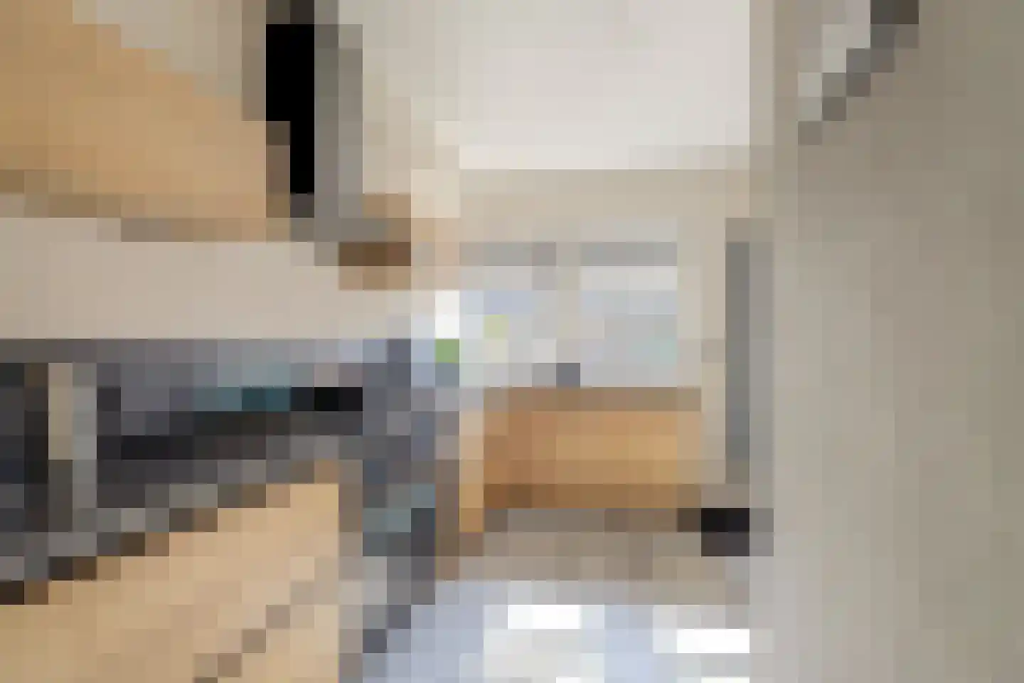 Achterbosk 15 Menaam thumbnail 15