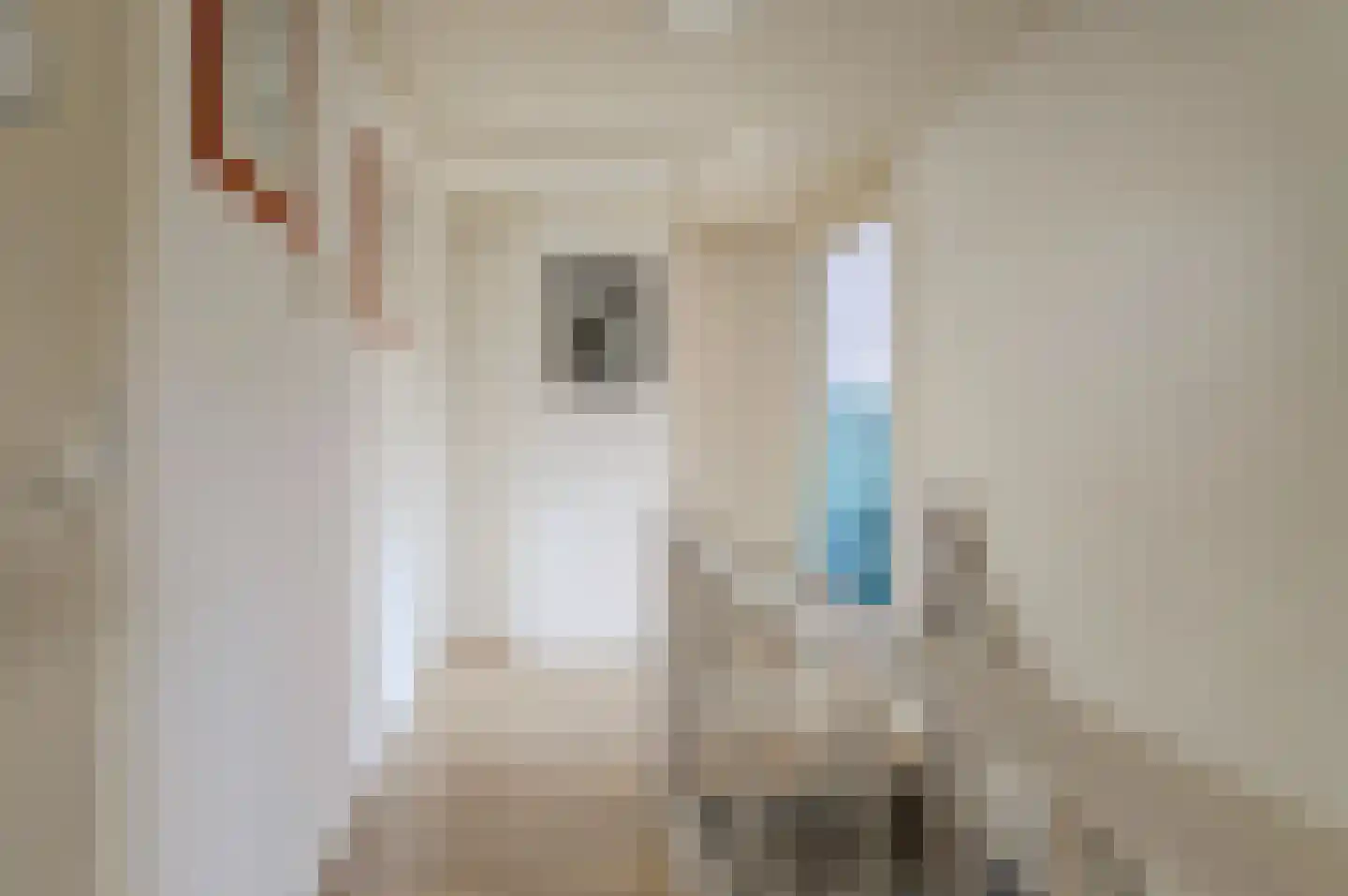 Achterbosk 15 Menaam thumbnail 17