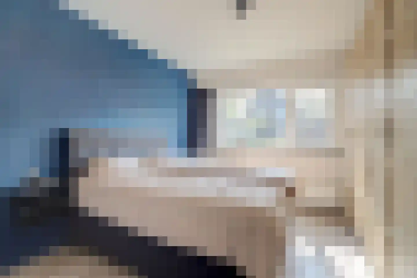 Achterbosk 15 Menaam thumbnail 20