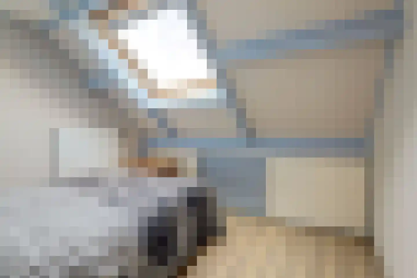 Achterbosk 15 Menaam thumbnail 22