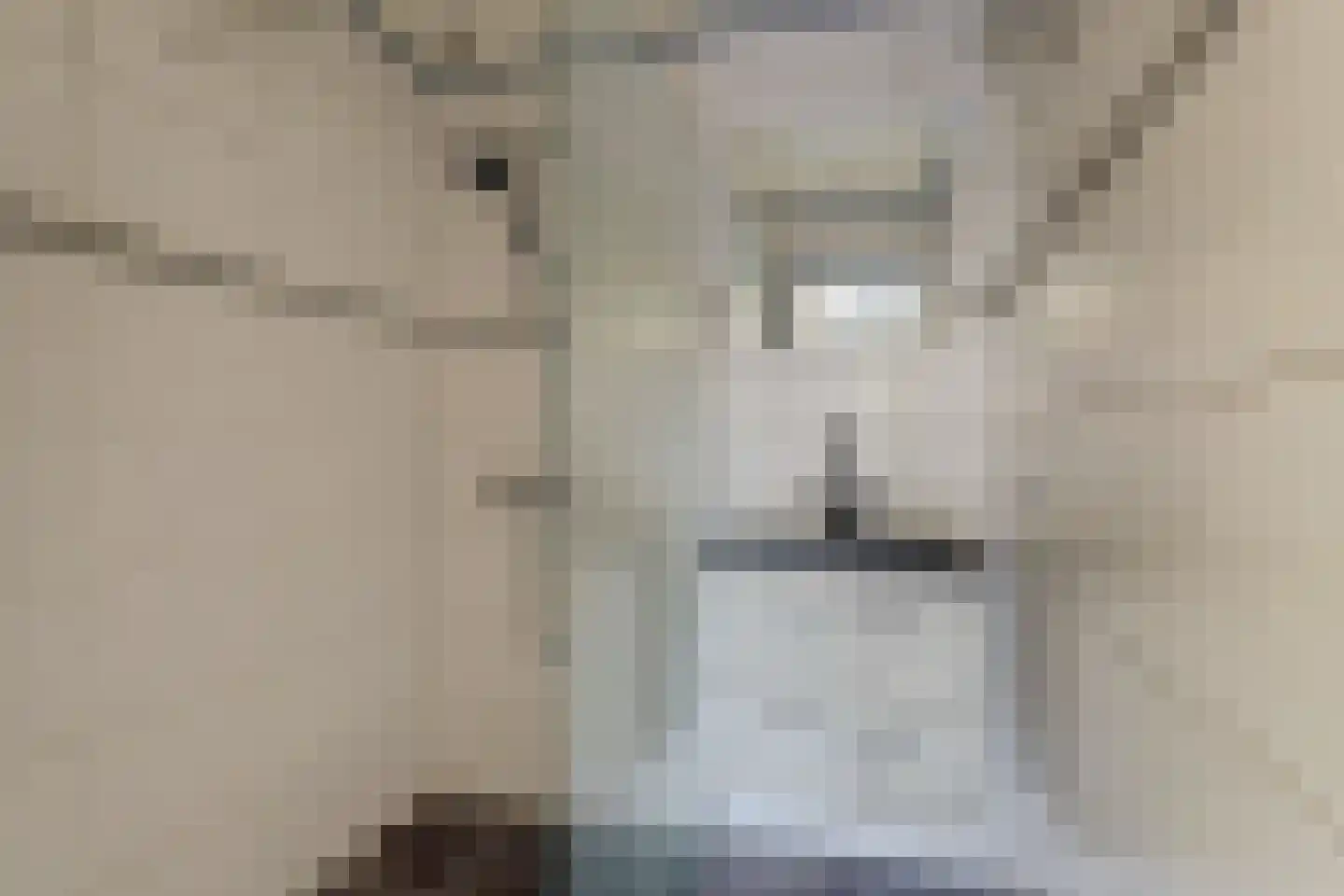 Achterbosk 15 Menaam thumbnail 29