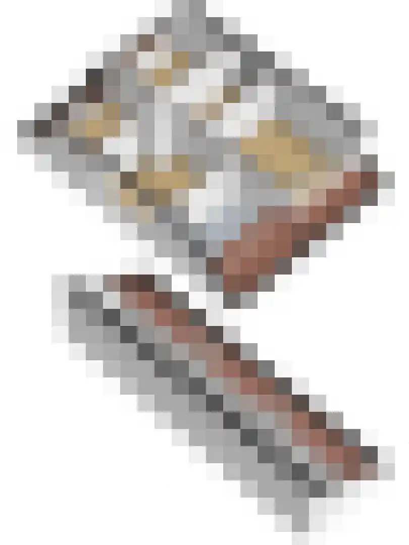 Achterbosk 15 Menaam thumbnail 39
