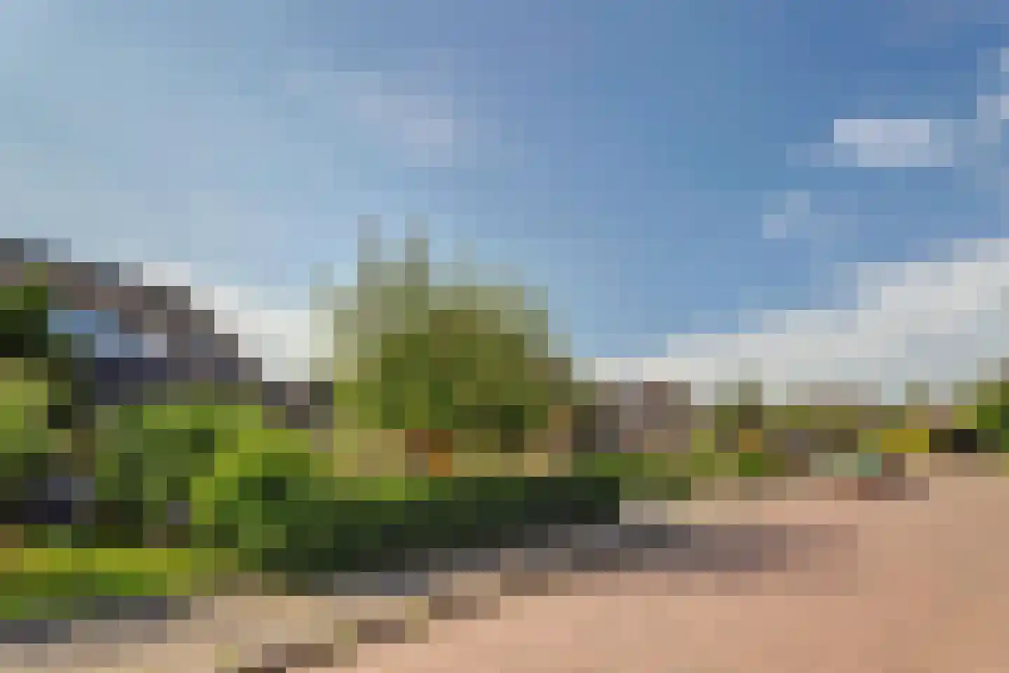 Achterbosk 15 Menaam thumbnail 4
