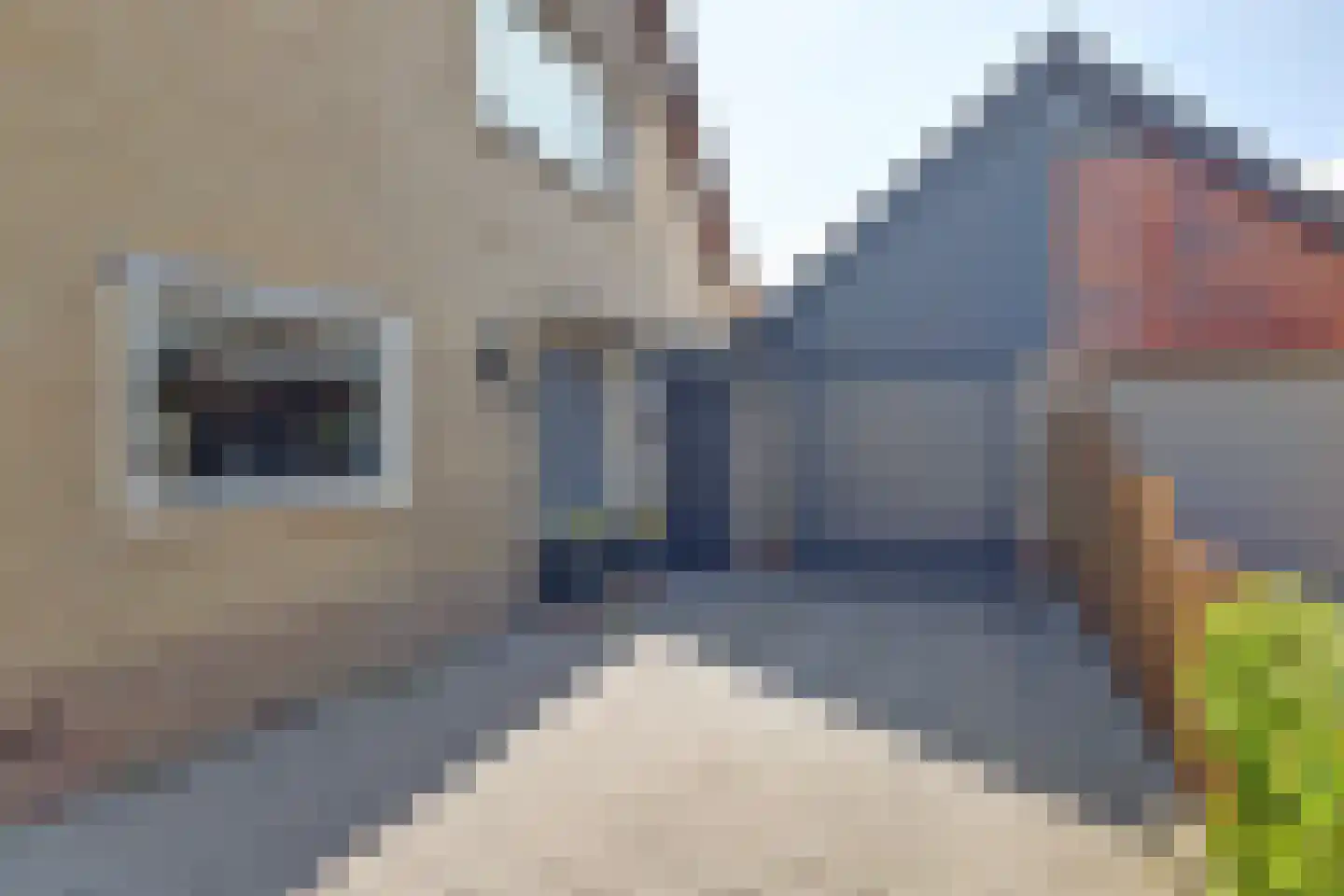 Achterbosk 15 Menaam thumbnail 8