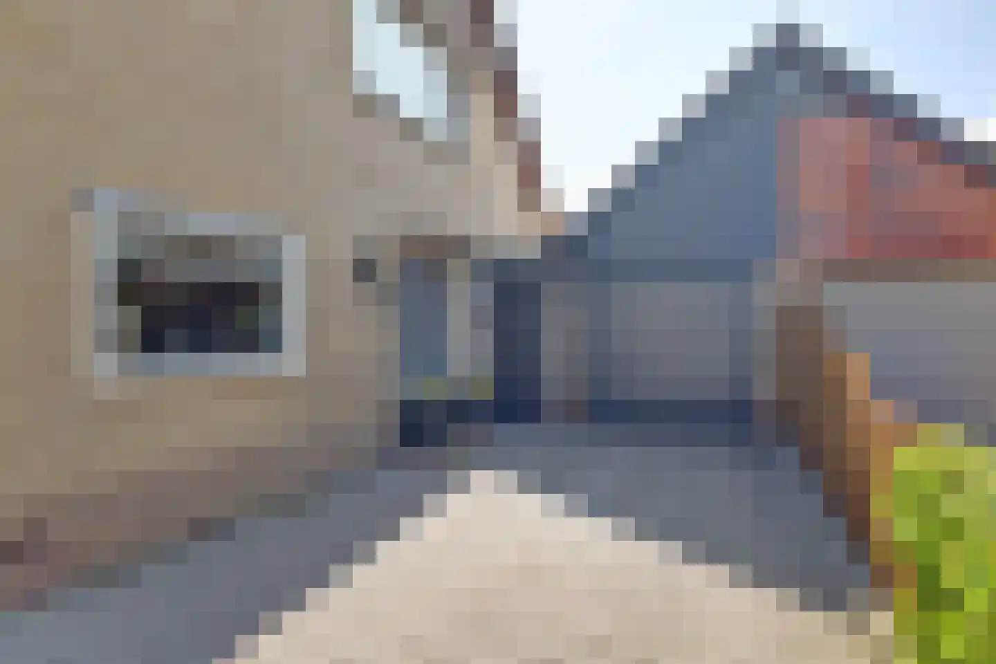 Achterbosk 15 Menaam thumbnail 8
