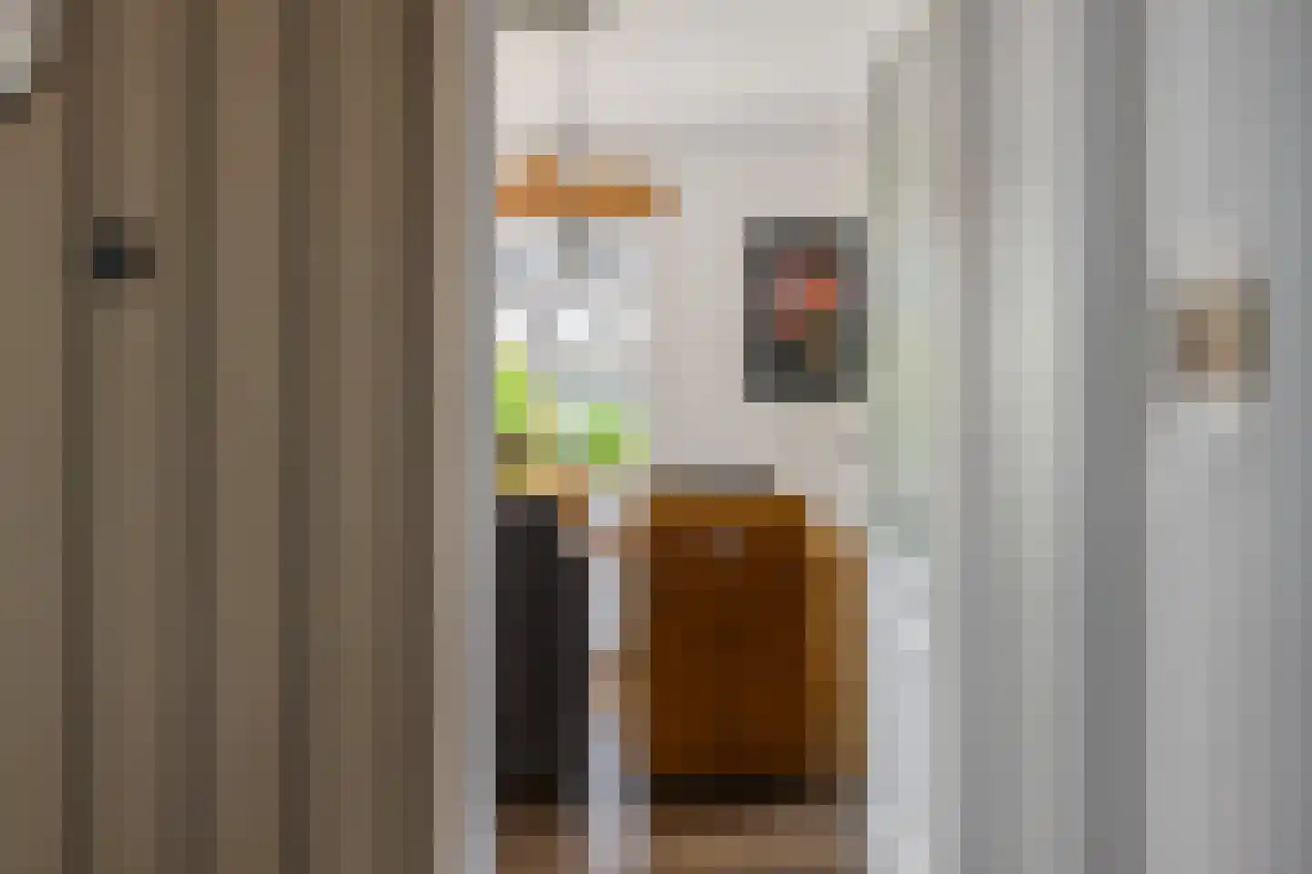 Achterbosk 19 Menaam thumbnail 11