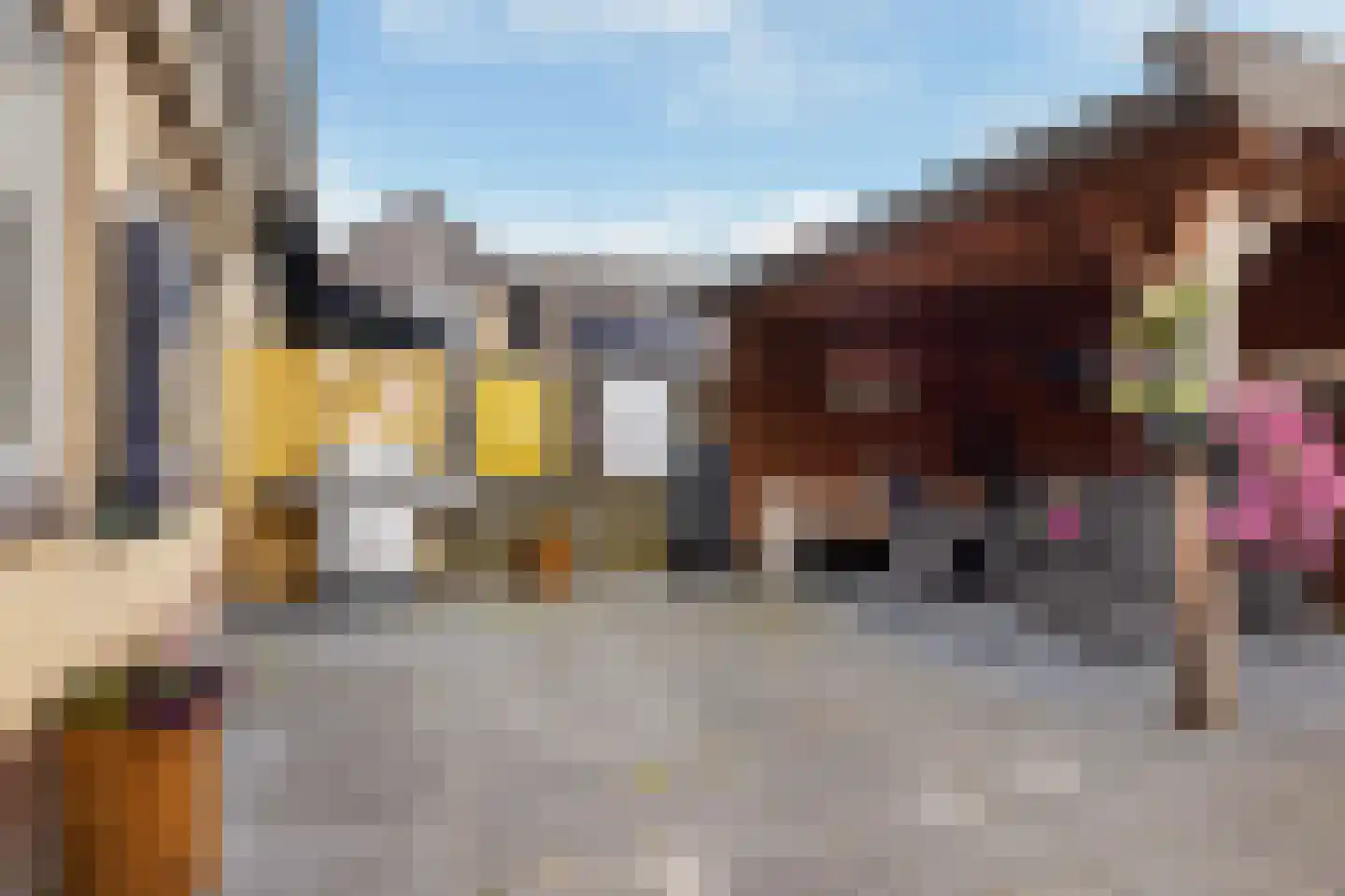 Achterbosk 19 Menaam thumbnail 29