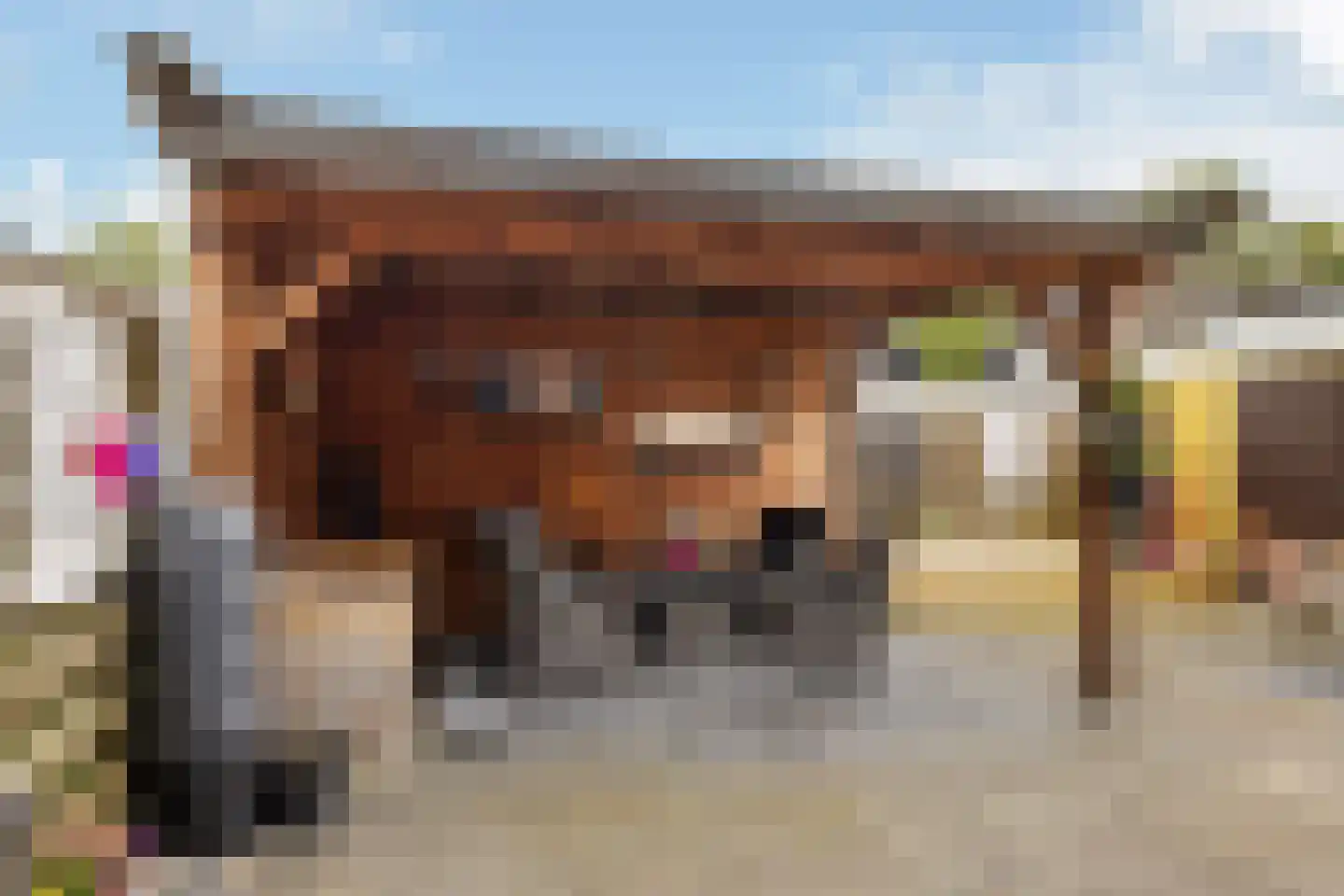 Achterbosk 19 Menaam thumbnail 30