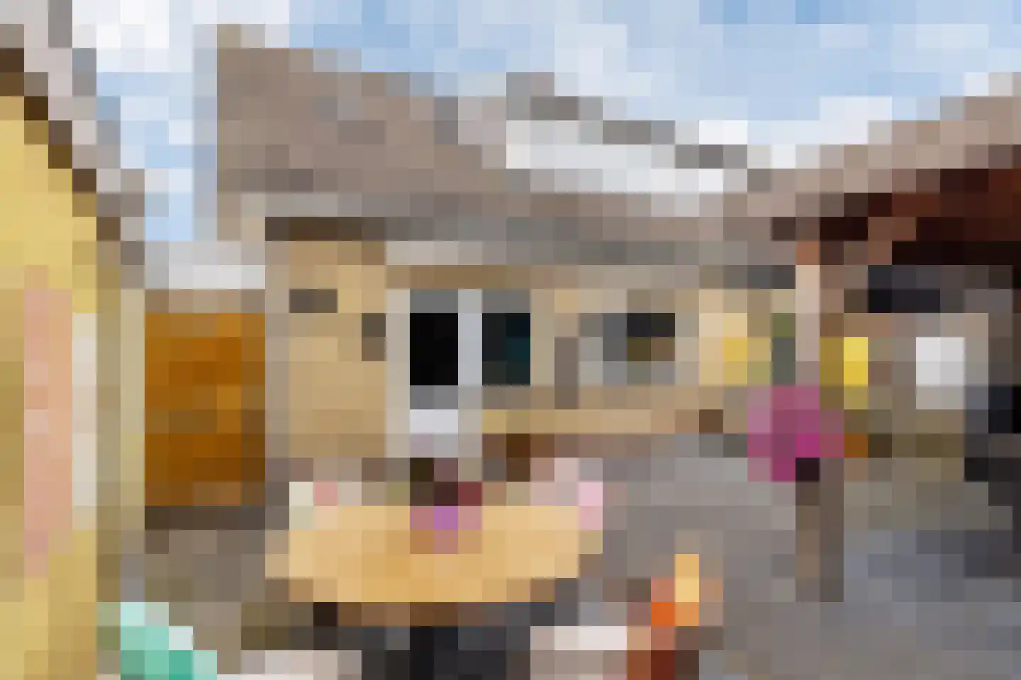 Achterbosk 19 Menaam thumbnail 33