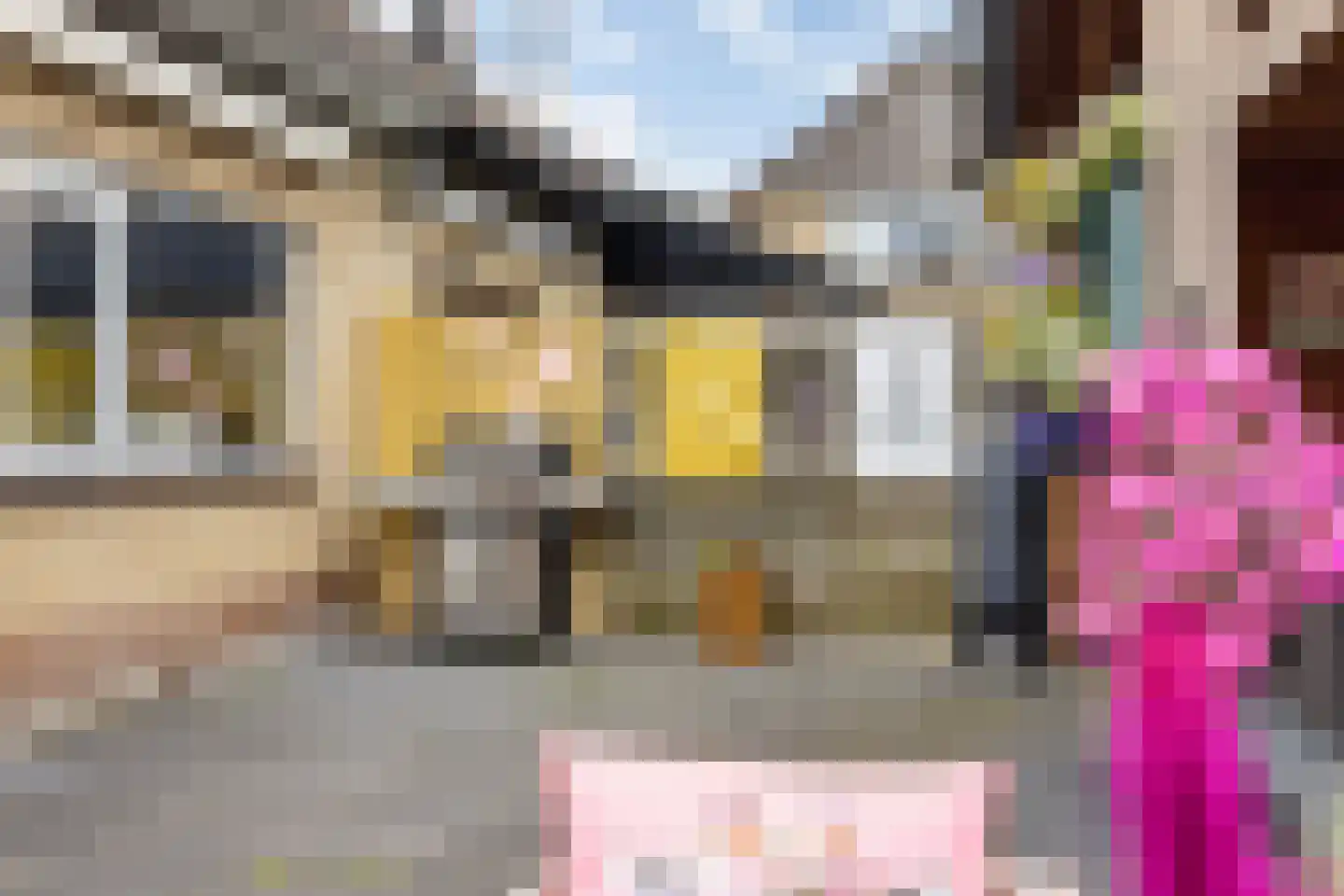 Achterbosk 19 Menaam thumbnail 34