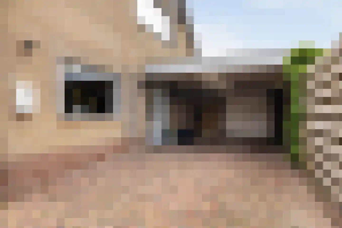 Achterbosk 19 Menaam thumbnail 36