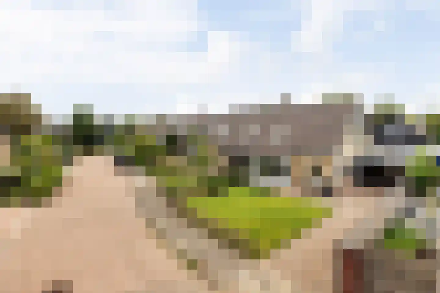 Achterbosk 19 Menaam thumbnail 40