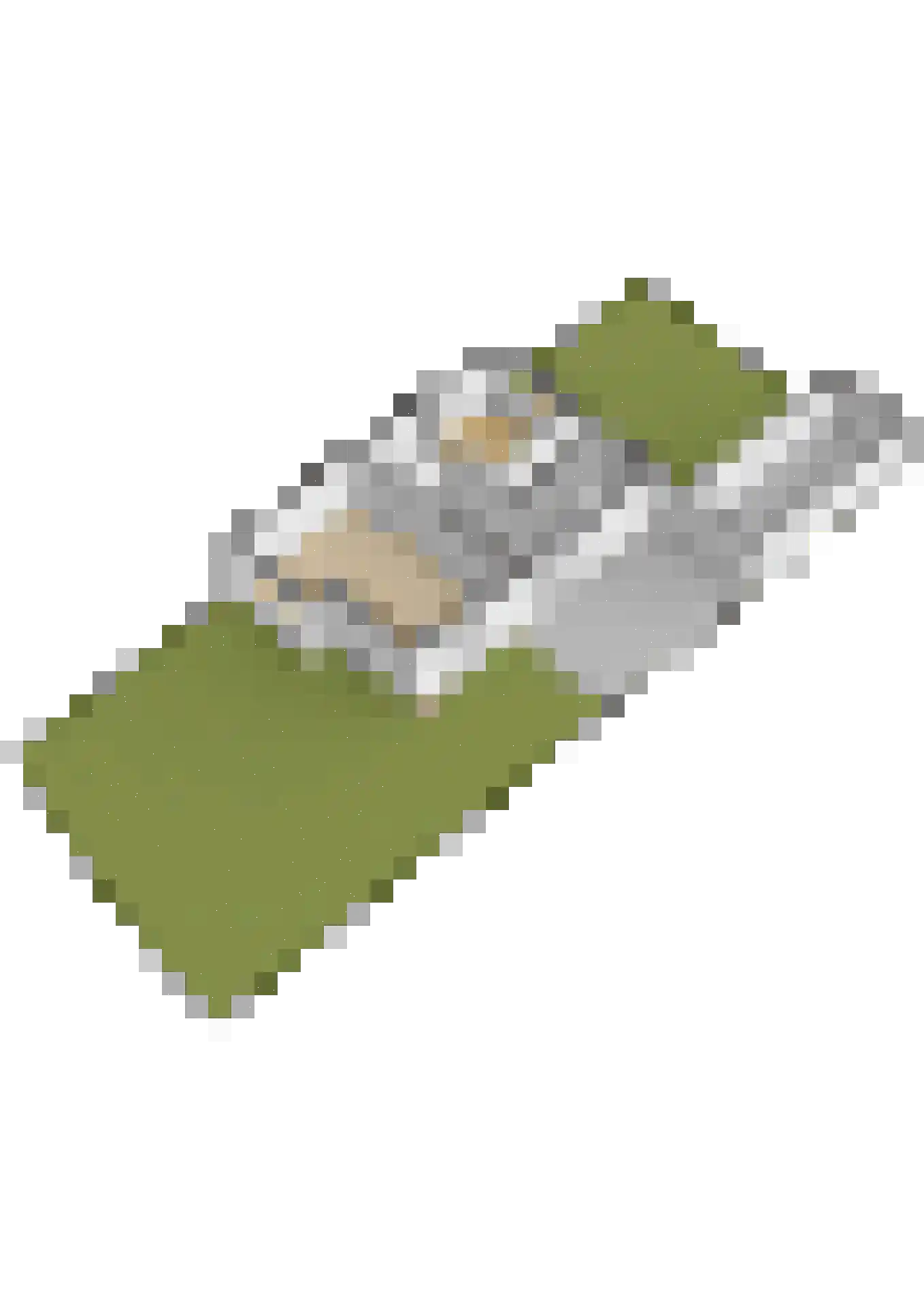 Achterbosk 19 Menaam thumbnail 53