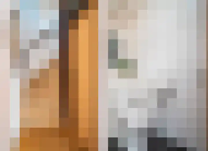 Achterbosk 5 Menaam thumbnail 13