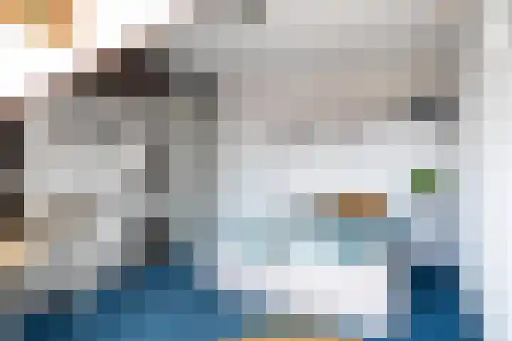 Achterbosk 5 Menaam thumbnail 16