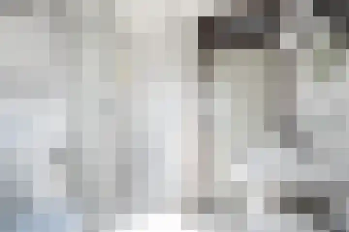 Achterbosk 5 Menaam thumbnail 22
