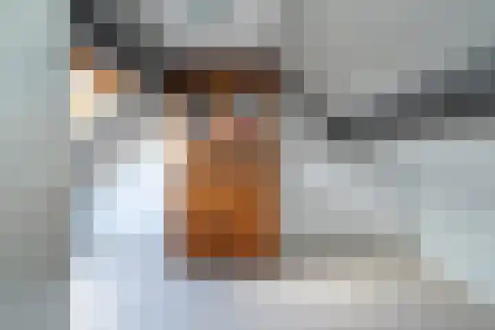 Achterbosk 5 Menaam thumbnail 25