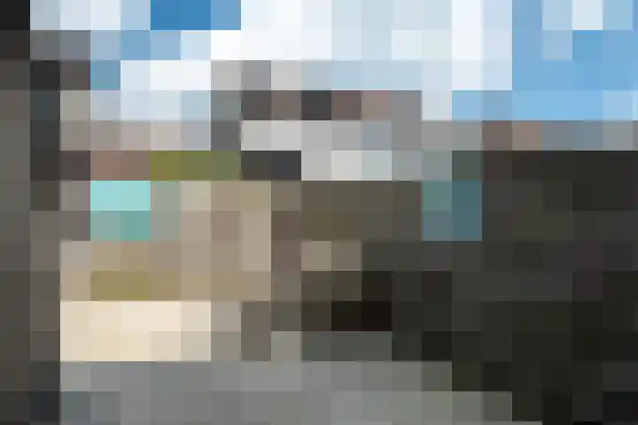 Achterbosk 5 Menaam thumbnail 27