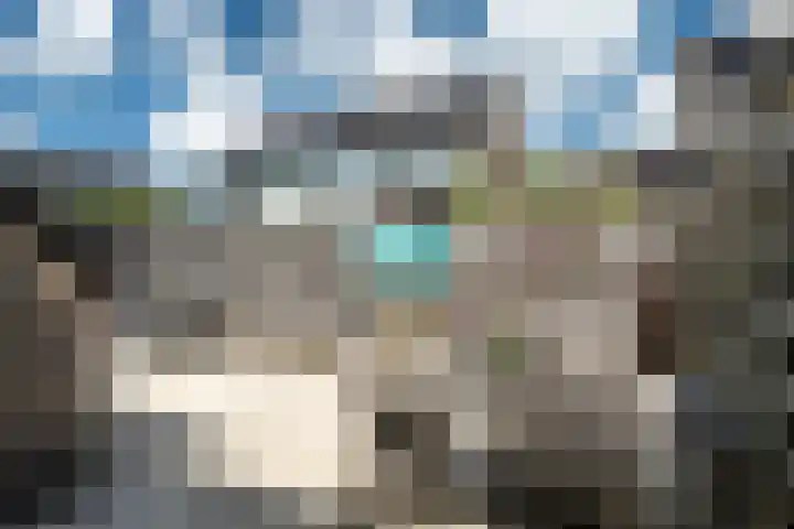 Achterbosk 5 Menaam thumbnail 28